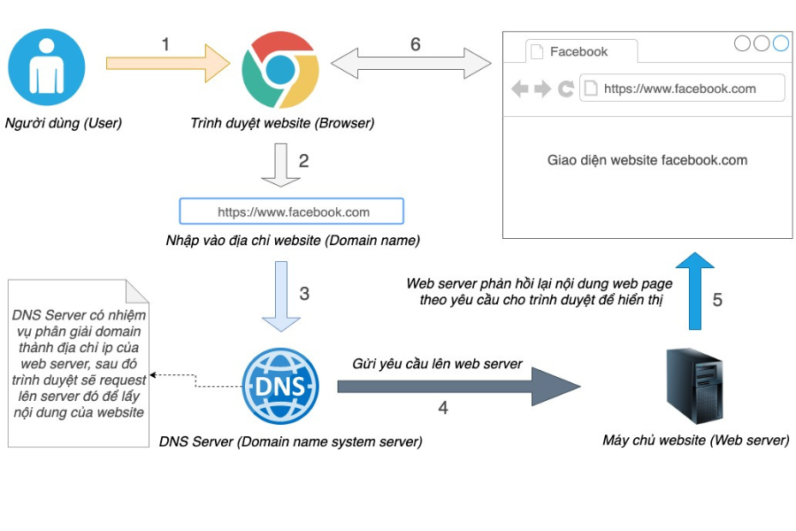 Website hoạt động như thế nào?